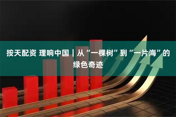 按天配资 理响中国｜从“一棵树”到“一片海”的绿色奇迹